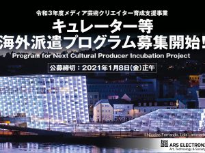 Project to Support Emerging Media Arts Creators, Program for Next Cultural Producer Incubating Project